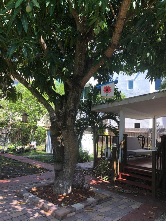 Private Suite Next To Calle Ocho マイアミ エクステリア 写真